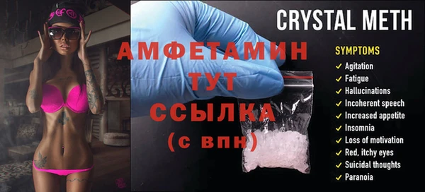 прущие грибы Ачинск
