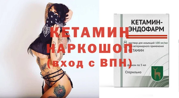 дмт Абаза