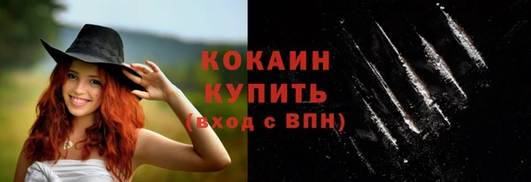 дмт Абаза