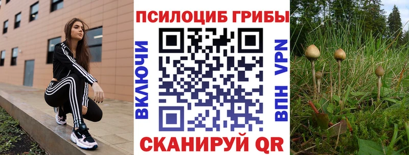 Галлюциногенные грибы Cubensis Алатырь